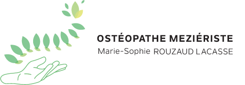 Marie-Sophie Rouzaud Lacasse, ostéopathe mézièriste à Orléans